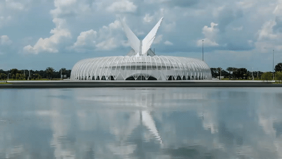 1.gif