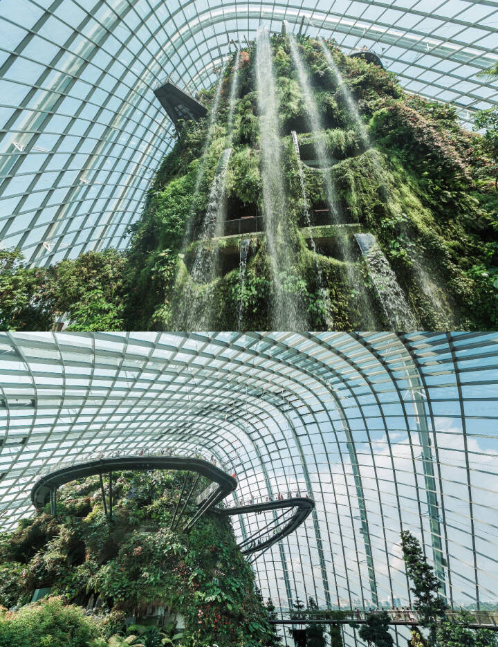 4-濱海灣植物.jpg